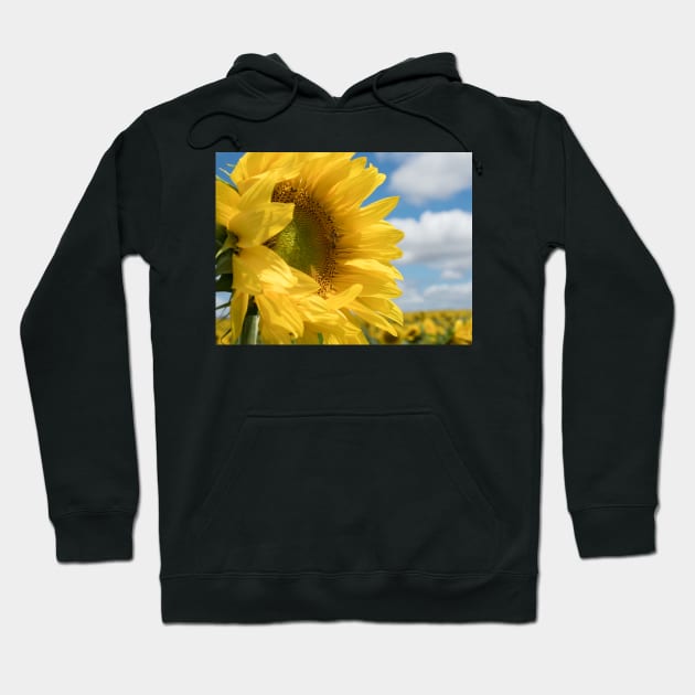 The Sunflower Hoodie by LukeDavidPhoto